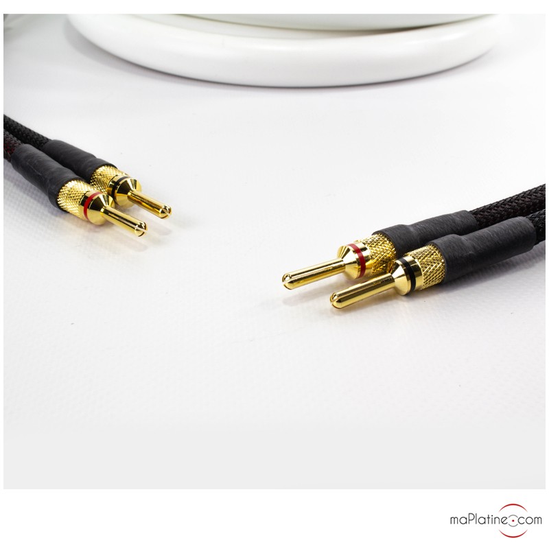 Câbles haut-parleurs Viard Audio Silver HD20 HP Câbles enceintes, fiches  bananes et fourches - Découvrez nos offres