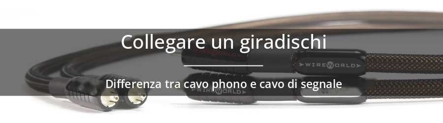 Qual è la differenza tra un cavo phono e un cavo di modulazione?