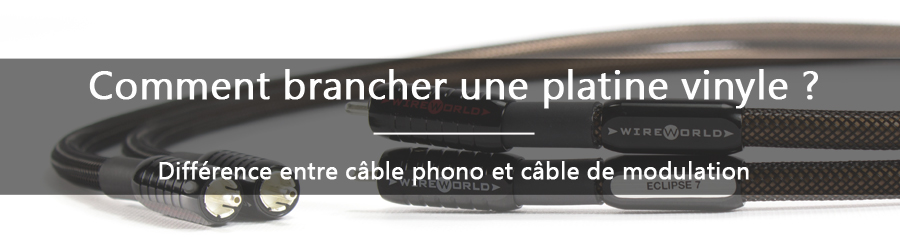 https://www.maplatine.com/img/cms/Guide%20achat%20-%20difference%20c%C3%A2ble%20phono%20et%20modulation/banni%C3%A8re-difference-cable-phono-modulation.jpg